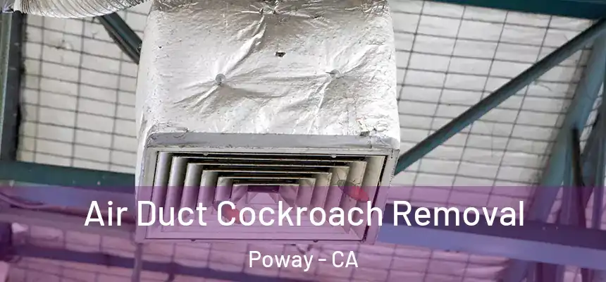  Air Duct Cockroach Removal Poway - CA