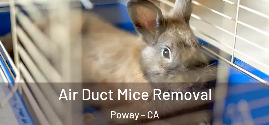  Air Duct Mice Removal Poway - CA