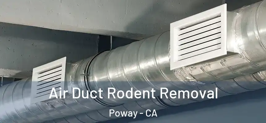  Air Duct Rodent Removal Poway - CA