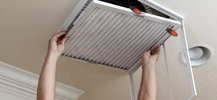 Preventive Cockroach-Proofing for Ducts in Poway
