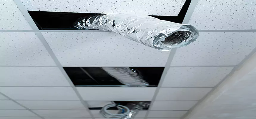 Our Air Duct Pet Hair Removal Services in Poway, CA