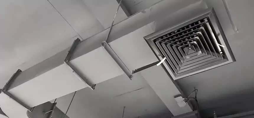 Restorative Allergy Relief Vent Cleaning – Coil, Blower & Housing Detail in Poway