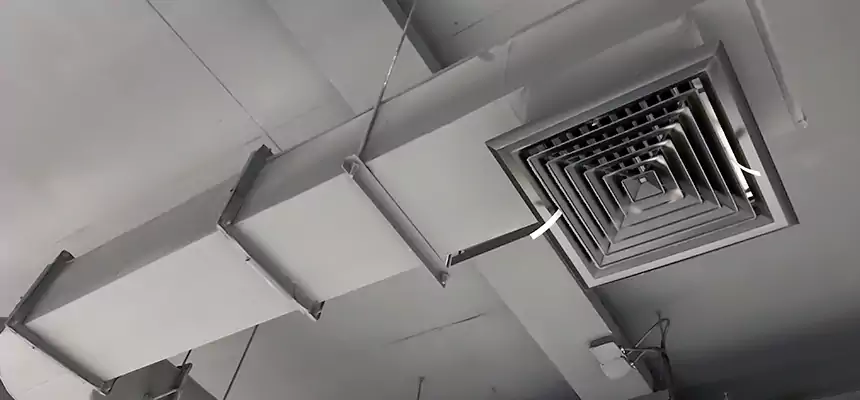 Our Pest Removal From Ducts Services in Poway, CA