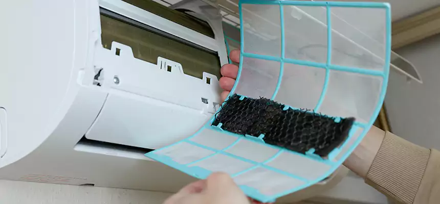 Gentle Ductwork Odor-Control Pet Dander Duct Cleaning in Poway, CA