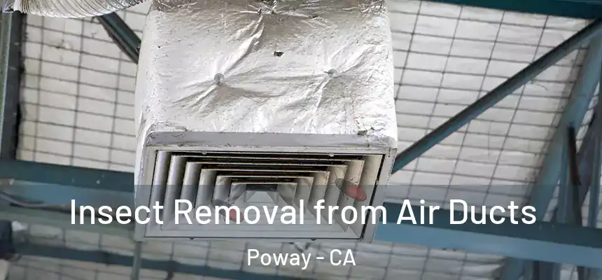  Insect Removal from Air Ducts Poway - CA