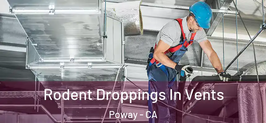 Rodent Droppings In Vents Poway - CA