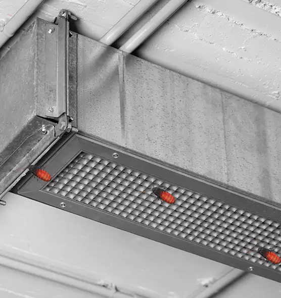 About Air Duct Cockroach Removal in Poway, CA