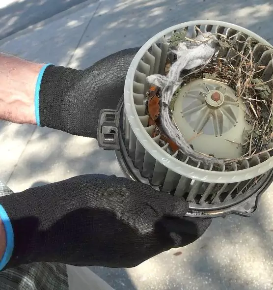 About Air Duct Mice Removal in Poway, CA