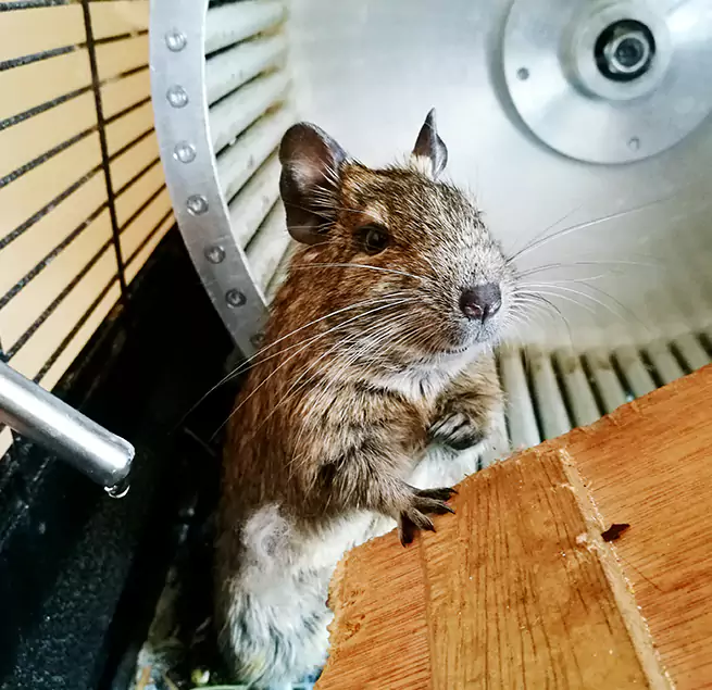 Why Homeowners & Businesses Trust Us Poway, CA?