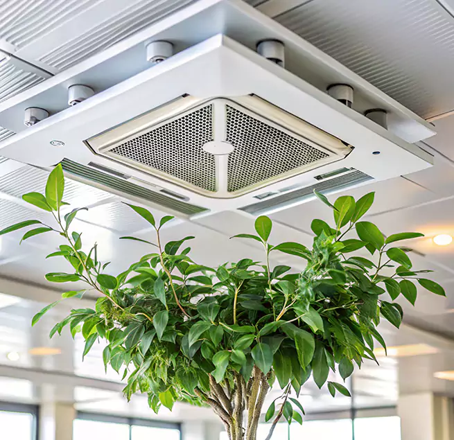 Why Homeowners & Businesses Trust Us in Poway, CA?