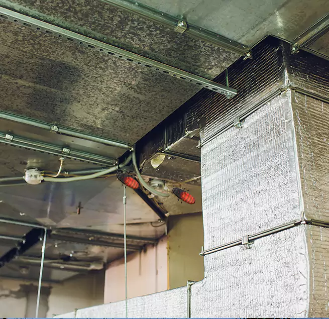 Why Homeowners & Businesses Trust Us Poway, CA?